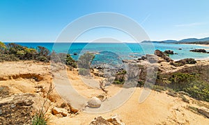 Plants by the sea in Sardinia in springtime