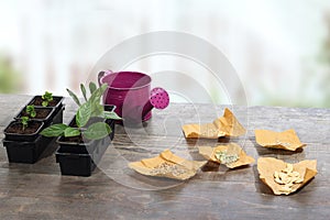 Plants, seeds and watering can