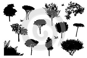 Plants set silhouette, isolated trees and bushes with birds on white background for desing