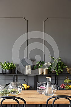 Plants on shelves against grey wall with molding in dining room