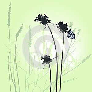 Plants silhouettes collection for designers. Flying butterfly