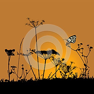 Plants silhouettes collection for designers. Flying butterfly