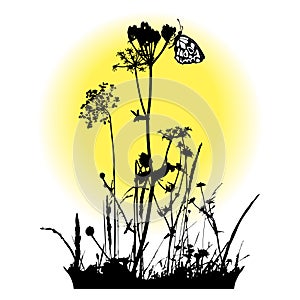 Plants silhouettes Flying butterfly