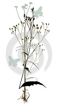 Plants silhouettes on white background. Decorative illustration