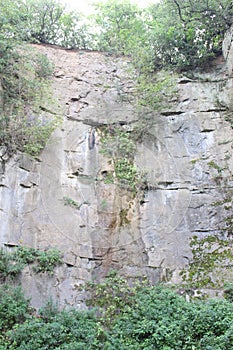 Plants and small trees grow on cliff slopes, on rocks