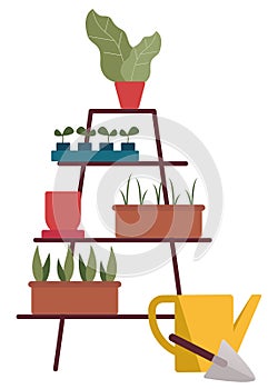 Plants on standing shelves. Seedling in pots. Urban gardening concept.