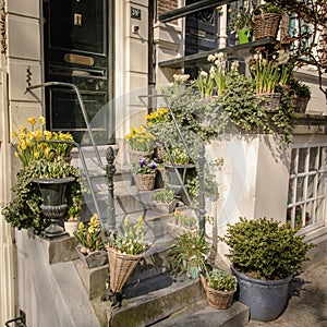 Plants on the steps of a house entrance in Amsterdam Netherlands. March 2015.