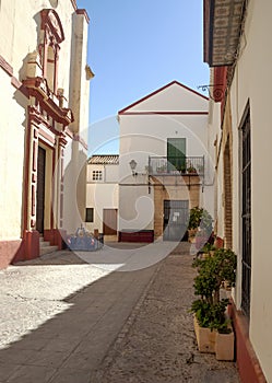 Plants in the street of Carmona