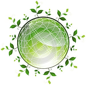 Plants surrounding Green Globe