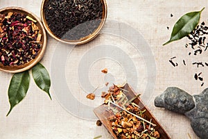 Plants, symbol of traditional Chinese medicine photo