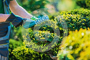 Plants Topiary Trimming