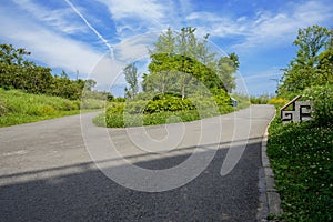 Plants and trees at fork in asphalted road against sunny summer