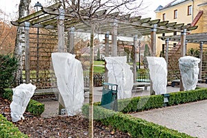 Plants and trees in a park or garden covered with blanket, swath of burlap, frost protection bags or roll of fabric