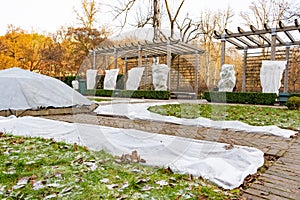 Plants and trees in a park or garden covered with blanket, swath of burlap, frost protection bags or roll of fabric