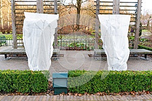 Plants and trees in a park or garden covered with blanket, swath of burlap, frost protection bags or roll of fabric