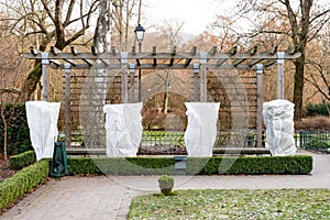 Plants and trees in a park or garden covered with blanket, swath of burlap, frost protection bags or roll of fabric photo