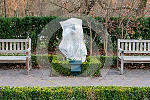 Plants and trees in a park or garden covered with blanket, swath of burlap, frost protection bags or roll of fabric photo