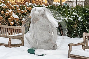 Plants and trees in a park or garden covered by the snow and blanket, swath of burlap photo