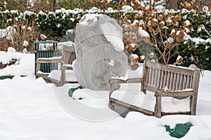 Plants and trees in a park or garden covered by the snow and blanket, swath of burlap photo