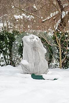 Plants and trees in a park or garden covered by the snow and blanket, swath of burlap photo