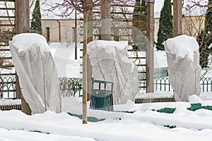 Plants and trees in a park or garden covered by the snow and blanket, swath of burlap photo