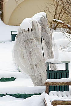 Plants and trees in a park or garden covered by the snow and blanket, swath of burlap photo