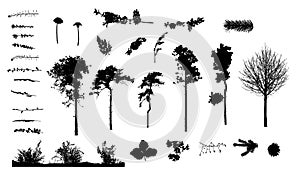 Plants and trees silhouettes