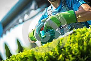 Plants Trimming by Gardener