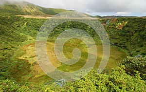 Plants on the volcano in azores island photo