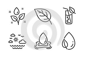 Plants watering, Leaf and Travel sea icons set. Water splash, Water glass and Leaf dew signs. Vector