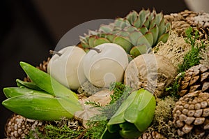 Plants with waxed apples