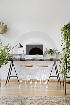 Plants in white workspace interior with wooden stools at desk with lamp and desktop computer. Real photo