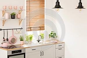 Plants on wooden countertop in kitchen interior with blinds, lam
