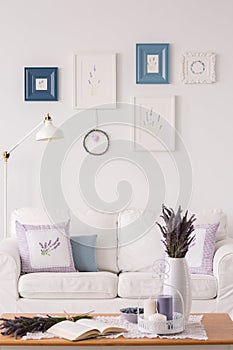 Plants on wooden table in white and blue living room interior with posters above sofa. Real photo