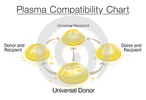 Plasma Donation Compatibility Chart Universal Donor Recipient Transfusion Blood photo