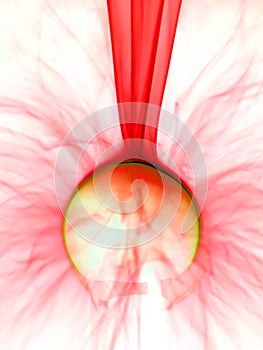 Plasma lamp close up