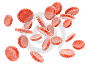 Plasma. Red blood cells. Isolated