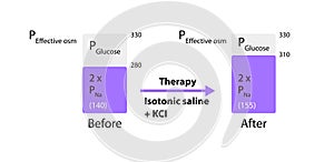 Plasma\'s effective osmolality defense ensures balanced hydration