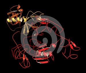 Plasminogen plasmin precursor protein. Plasmin is an enzyme responsible for the breakdown of fibrin fibrinolysis.