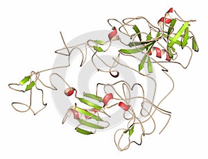 Plasminogen plasmin precursor protein. Plasmin is an enzyme responsible for the breakdown of fibrin fibrinolysis.