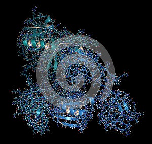 Plasminogen plasmin precursor protein. Plasmin is an enzyme responsible for the breakdown of fibrin fibrinolysis. 3D rendering,.