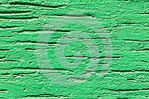 Plaster bark beetle green pattern abstract wall texture stucco background