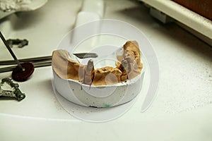 The plaster model of the jaws with tools