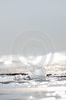 Plastic bag at the beach