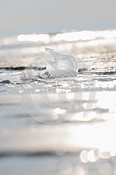 Plastic bag at the beach