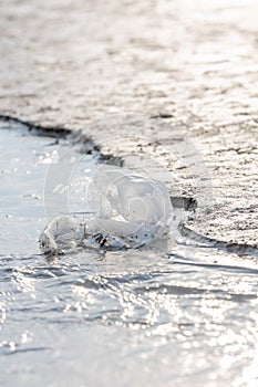 Plastic bag at the beach