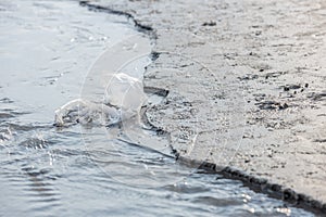 Plastic bag at the beach
