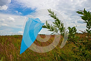 Plastic bag on a branch of a tree.