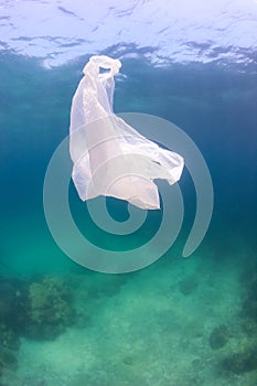 Plastic bag on a coral reef