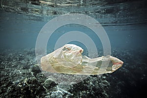 Plastic bag drifting over coral reef underwater